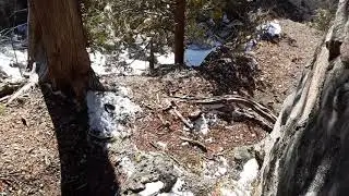 Exploring Eugenia falls.
