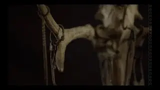 WOLFHEART - The Saw (Official Video) | Napalm Records