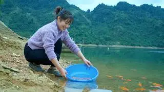 A Special Day on the Lake &ndash; Releasing Carp into the Water