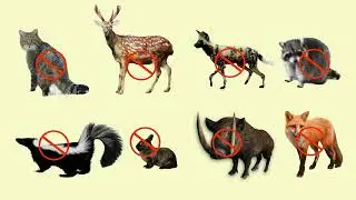 FlameGuard Ultrasonic Animal Repellent (AR33S)