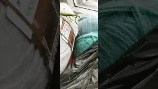 куда я трачу деньги #хабаровскийкрай #природа #хабаровскэтосила