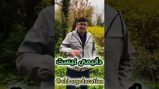 هرگز فراموش نکنید که چرا شروع کرده اید