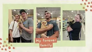 Furever Yours Pet Rescue 2022