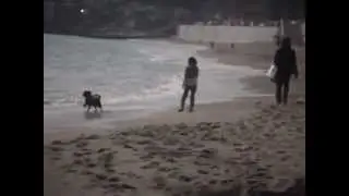 Shonan Beach