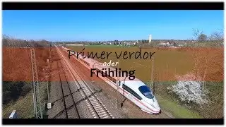 🌻Primavera en ALEMANIA🌻Campos alemanes | Mejora el TIEMPO