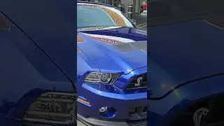 2013 GT500 SVT PERFORMANCE DEEP IMPACT BLUE.  17 YEARS IN THE CAR BIZ