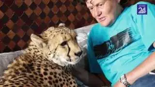 Jagluiperd help vrou met geneespad