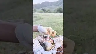 Juicy Grilled Fish in Foil Over Campfire | #shorts