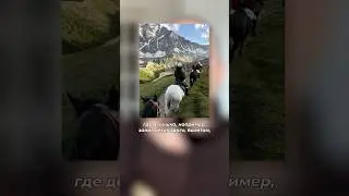 Хобби как триггер 2026 #экспертныйблог #продвижениебренда #триггеры #тренды2026 ВЫПУСК ⬆️