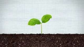 Unexpected Science | The Seed of an Idea