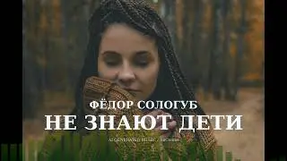 Не знают дети &mdash; dark folk rock