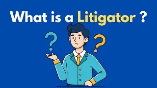 What is a Litigator ?