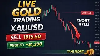 LIVE FOREX XAUUSD TRADING | GOLD LIVE TRADING | XAUUSD Live | Bitcoin Live Trading