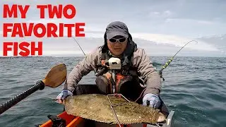 She Came Back For it: Big THICK Butt From A Kayak