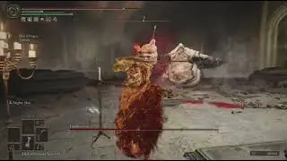 Swarmkeeper vs. Godskin Duo
