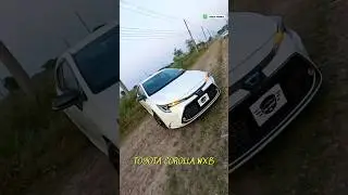 Toyota Corolla 2020&mdash;Best Deals in Bangladesh! 🇧🇩 #automobile #cartheorybd #toyotacorolla