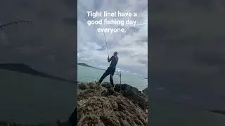 #nz #subscribe #fishingtechniques #fish #baitfishing #surfcasting #sushi