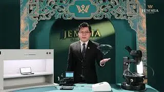 Kim cương Jemmia - N&oacute;i c&oacute; GIẤY, M&aacute;ch c&oacute; M&Aacute;Y | L&agrave;m chủ cuộc chơi kim cương tập 1