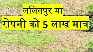 ललितपुर मा रोपनी को मात्र ५ लाख मै टुक्रा जग्गा बिक्रि मा आयो A best land on sale in lalitpur nepal.