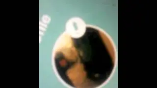 How to get a million followers on vine