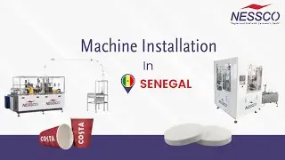 Successful Installation of Paper Cup & Single-Layer Paper Lid Machine in Senegal | Nessco Industries