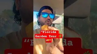 &ldquo;Florida Garden Tour 🌿🚚&rdquo;#music