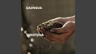 Pehepua