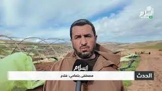 الشلف خسائر معتبرة تعرض لها الفلاحون جراء الرياح القوية