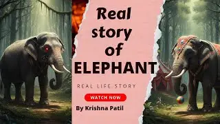 Real story of elephant. Untold story #elephantlife #motivation #viralvideo #lifelesson #bhagwatgeet 