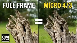 Sensor Size Doesn’t Affect Background Blur. You Do!