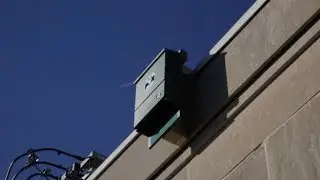 New Bat Box at Interior
