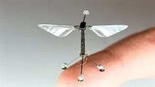 World's Smallest RoboBee Saves Energy with Ability to Perch