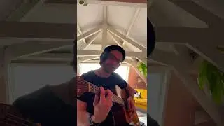 If I were a fish in Dutch #cover #guitar #shorts