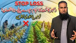 Nai Fasal Lagane Ka Behtareen Waqt | November & January Faide Mein, December Kyun Nuqsan? | IR Farm