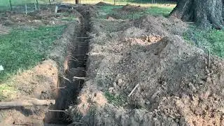 Waterline digging with large tree root