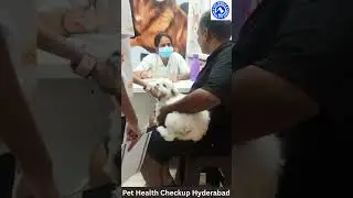 NIKKI'S PET WORLD- PET SHOP | PET GROOMING SPA | VET CARE | PET CLINIC  | PET KENNELS - HYDERABAD