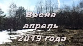 Михалкино 23 апреля 2019 года