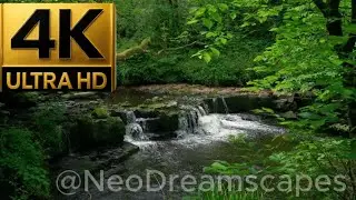 🌊 4K River & Frog Sounds | 1 Hour Relaxing Nature Ambience 🐸