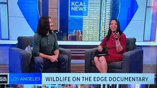 Promoting the Ecoflix documentary &ldquo;Wildlife On The Edge&rdquo; on KCAL News in Los Angeles
