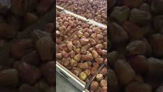 Saudi DATES Al- qassim buraidah