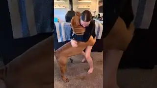 Girl vs Dog🐕 #puppy #labrador #bulldog #doglife #mastiff #goldenret#funny #pets #goldenretriever