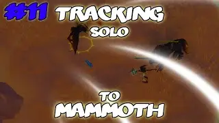ALBION ONLINE TRACKING IN QUALITY 5 MAP I Solo Tracking to Mammoth #11