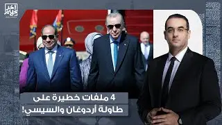 حمزة تكين يكشف عن 4 ملفات خطيرة فُتحت على طاولة النقاش بين أردوغان والسيسي!
