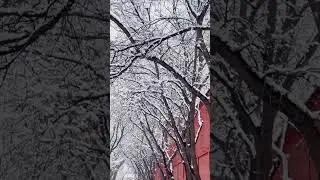 太原狄梁公街雪景