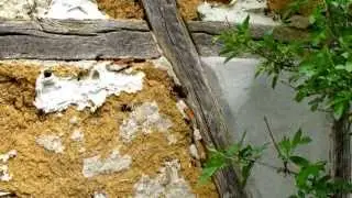 Boxberg - TV:  W&Ouml;LCHINGEN 2010