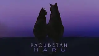 HARU &ndash; Расцветай (Official Audio)