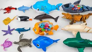 Satisfied Unboxing Happy Aquarium Machine Fish Fishing Toy Set ASMR | Toy Review