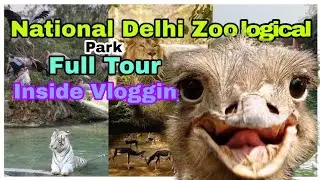 National Zoological Park New Delhi || Full inside Vlogging || By Mine Vlogging 