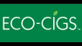 Eco Cigs - Tip Rechargeable