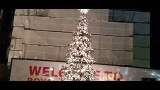 Liverpool One и Royal Albert Dock (Берти и Белла Ливерпульские птицы) &hearts;️ Ливерпуль, Англия 🎄 21.1...